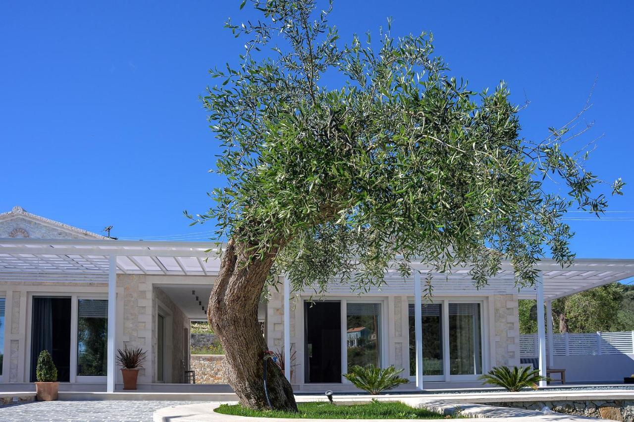 Paxos Luxury Living Junior Suites Gaios Eksteriør billede